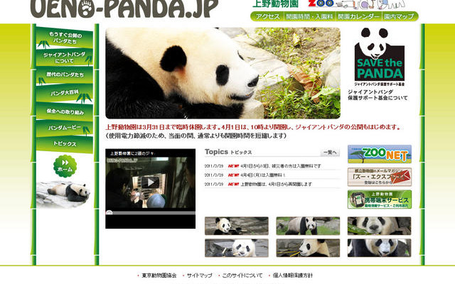 どうして白黒なの？　まもなく公開のパンダを研究 UENO-PANDA.JP