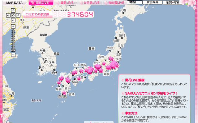桜の開花状況をリアルタイムでマップ化したサイトを開設