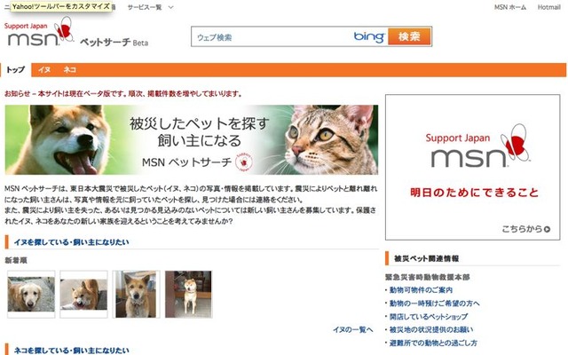 MSNペットサーチ