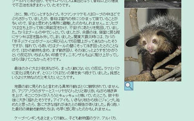 パンダは興奮、バクは動じず…震度5強、そのとき動物たちは 東京ズーネット