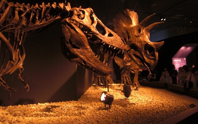 恐竜博2011、国立科学博物館（東京・上野公園）