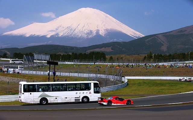 サーキットサファリ