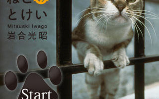 「岩合光昭のねこのとけい」アプリ ねこ写真