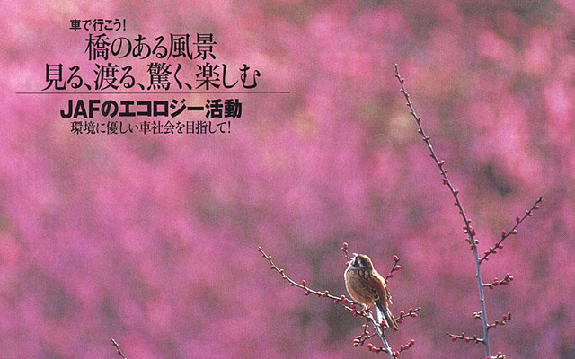花粉症の季節来る!!---フィルターの効き目
