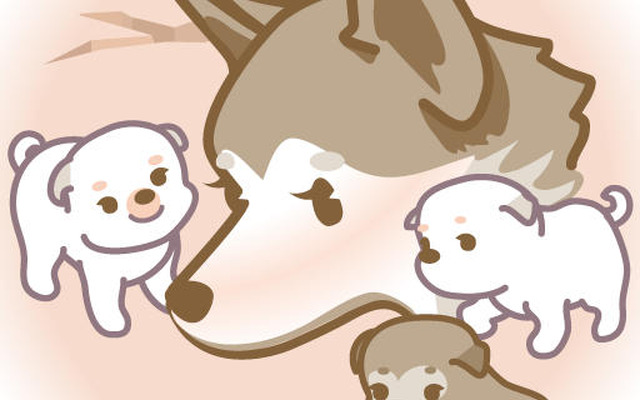 山古志村のマリと三匹の子犬