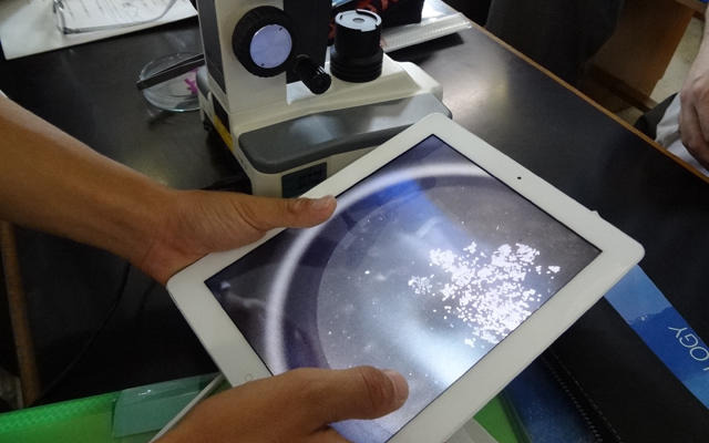 iPad 2を植物の観察に活用