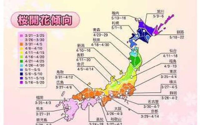 桜開花傾向