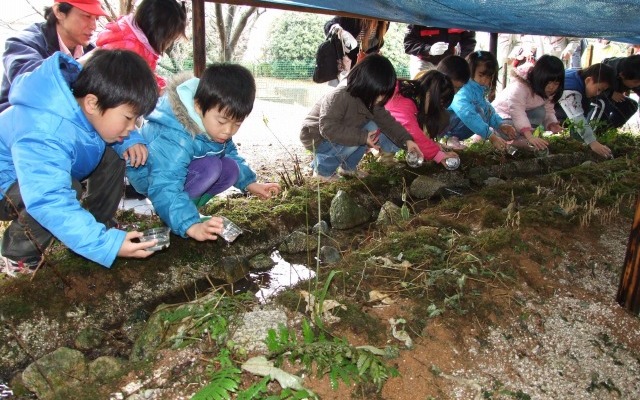 ブリヂストン、甘木工場ビオトープにホタル幼虫を放流