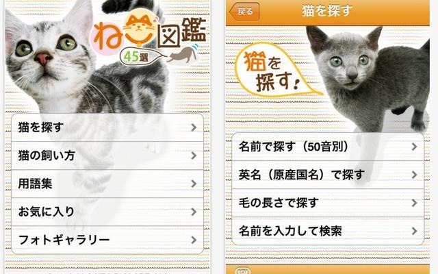 ねこ図鑑45選