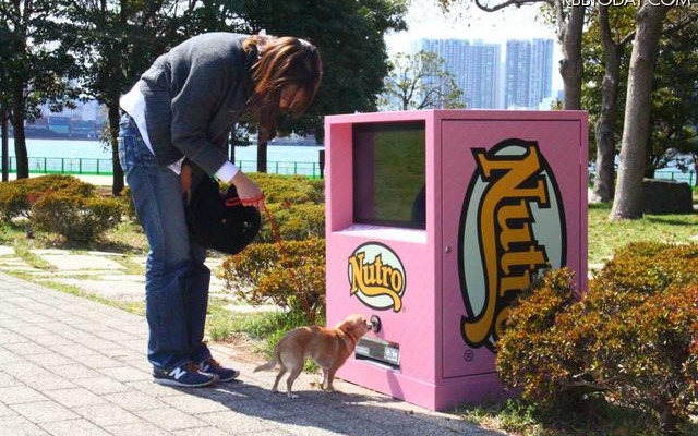 小型犬が自動販売機でサンプリング商品を出すようす