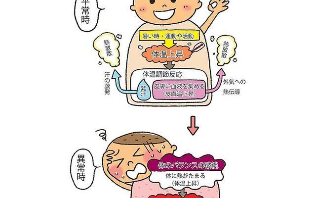 熱中症の起こり方