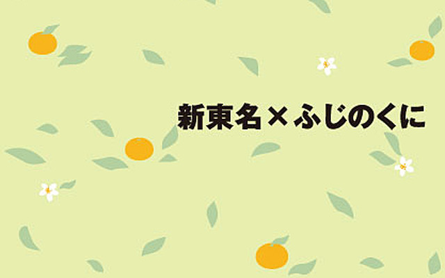 昭文社 小冊子『ことりっぷ　新東名×ふじのくに』