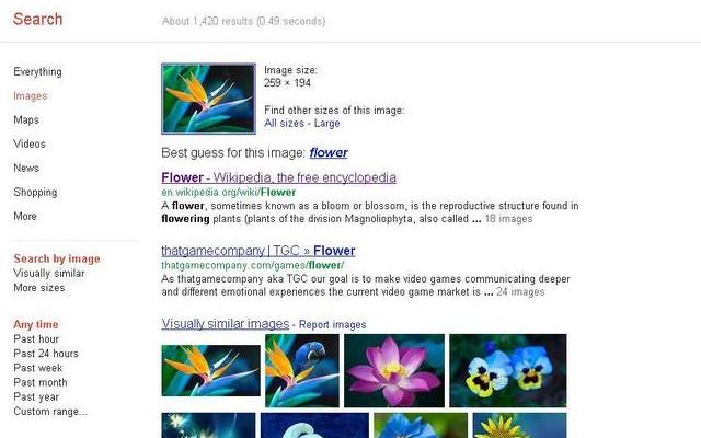 これまでの画像検索。画像が「flower」と認識されている