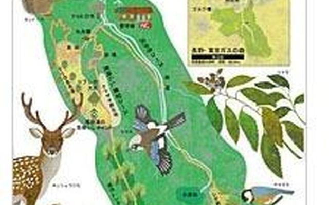 長野・東京ガスの森　マップ