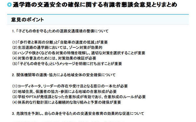 意見のポイント