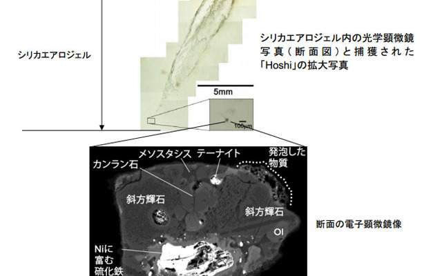 新種の地球外物質「hoshi」