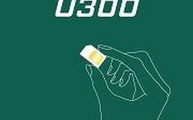 LTE U300パッケージ