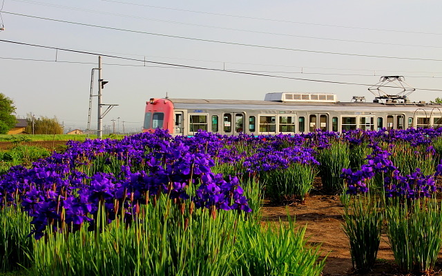 大胡駅付近を走る上毛電鉄700型