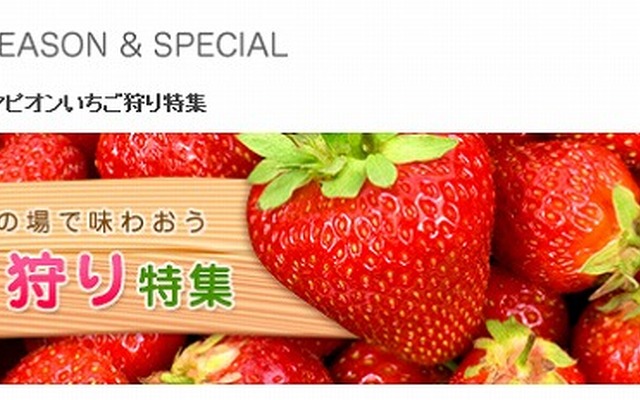 マピオン・いちご狩り特集