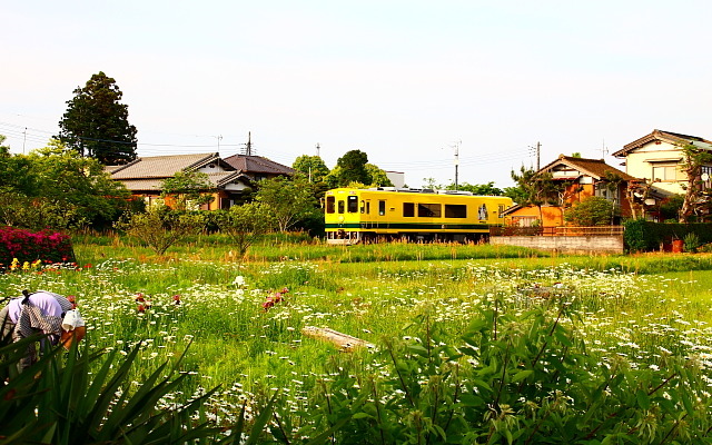いすみ鉄道