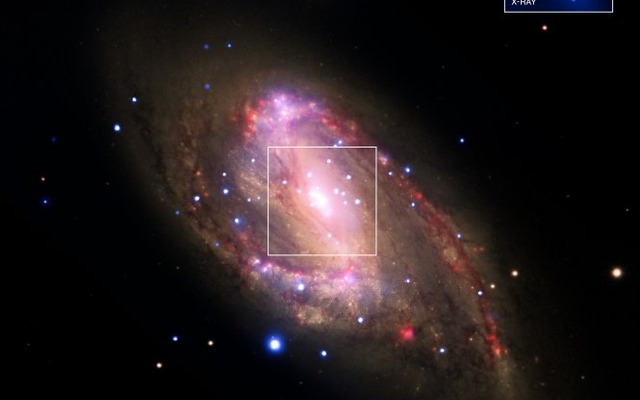 渦状銀河NGC3627