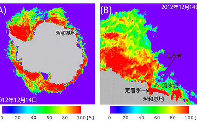 しずくが観測した海氷密接度画像