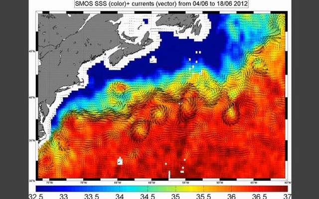 の海洋データ（動画キャプチャ）
