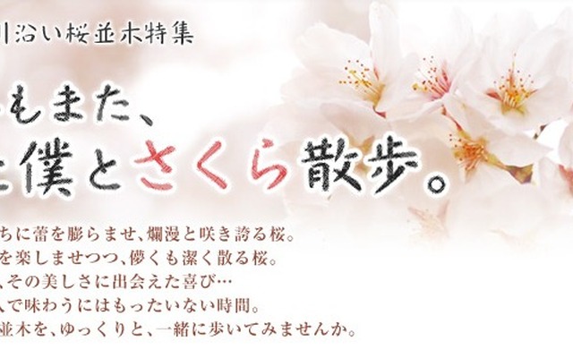 MapFan Web・東京の川沿い さくら散歩