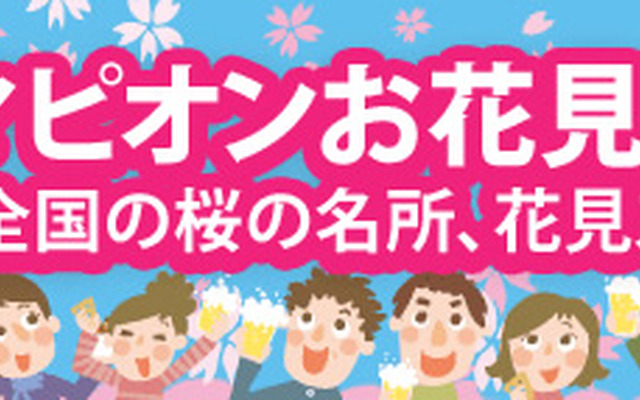 マピオンお花見特集2013