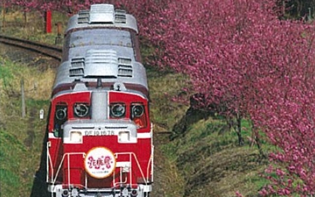 臨時列車「花桃号」のイメージ