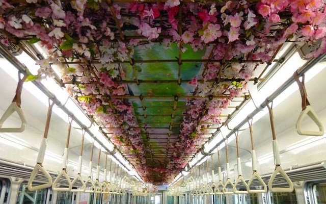 装飾電車「のせでん春物語」の車内。天井がサクラの花で装飾されている。