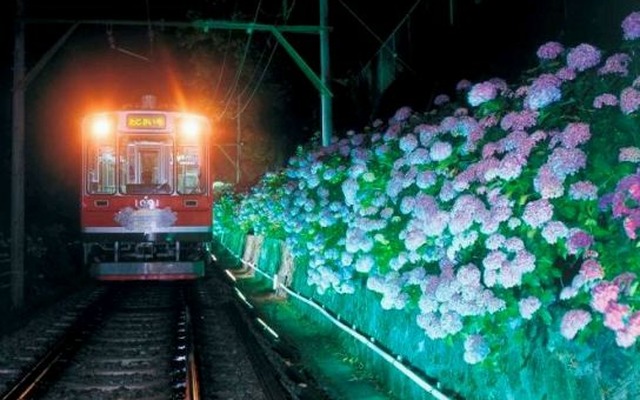 箱根登山鉄道