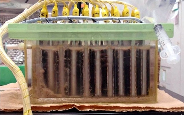 実験に用いられた今回の微生物燃料電池装置。