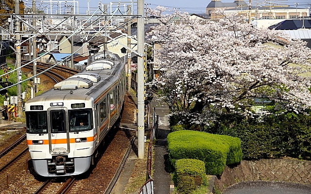 JR東海エリアの東海道本線で運用されている普通列車用の313系。