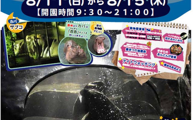 旭山動物園・夜の動物園