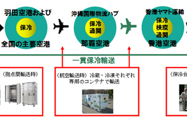 ヤマト運輸、国際クール宅急便を日本～香港間で開始