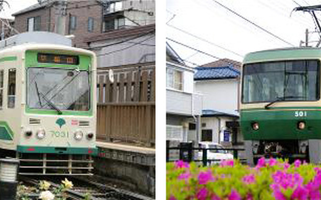 10月にコラボイベント「都電・江ノ電のんびり電車キャンペーン」を実施する東京都交通局の都電荒川線の電車（左）と江ノ電の電車