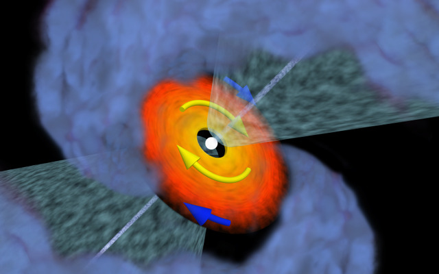 VLA1623Aの想像図。中心の赤ちゃん星の周囲にケプラー回転する円盤があり、原始星の両極方向には勢いよくガスが噴き出している。（ N. Murillo et al. ）