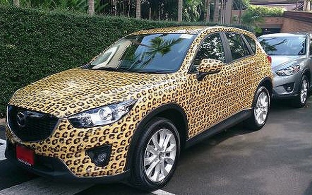 チーター模様のスペシャル CX-5