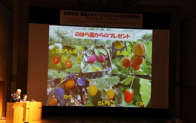 鹿児島県 錦が丘幼稚園の発表