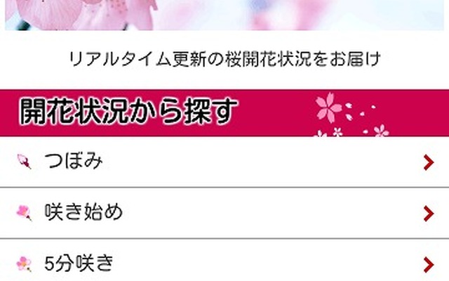 画面イメージ