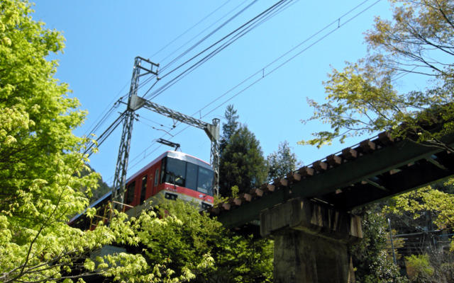 叡山電鉄は6月末までの土曜・休日、紅葉の名所「もみじのトンネル」で、新緑の時期に初めて徐行運転を実施「青もみじのトンネル」としてPRする。写真は新緑の中を走る叡山電鉄900系「きらら」