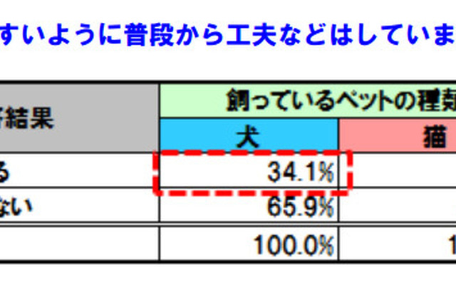 ペットが車に乗りやすいように普段から工夫などはしていますか？