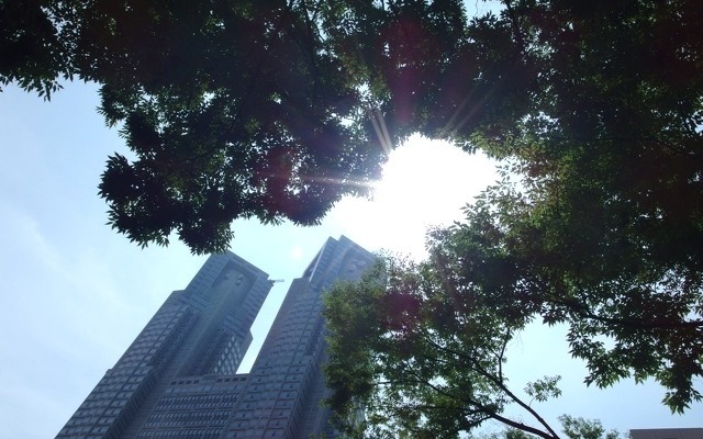 東京西新宿（7月22日）