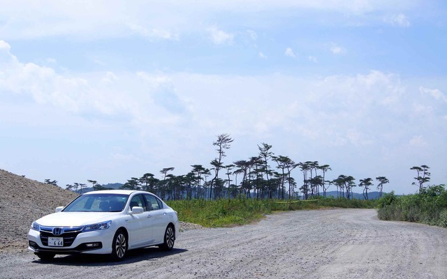 宮城県 矢本地区