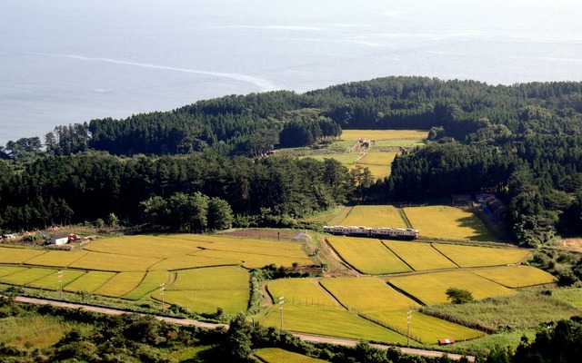 五能線の岩館～深浦間は再開まで1カ月程度かかる見込み。写真は田園地帯を走る五能線の気動車。