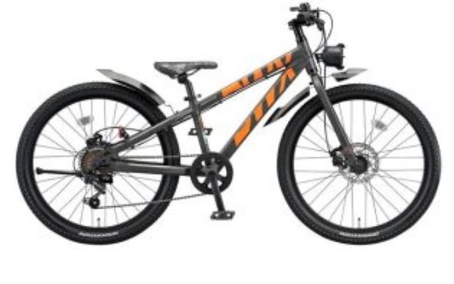 ブリヂストンサイクル、ジュニア用プレイバイク「BWX」
