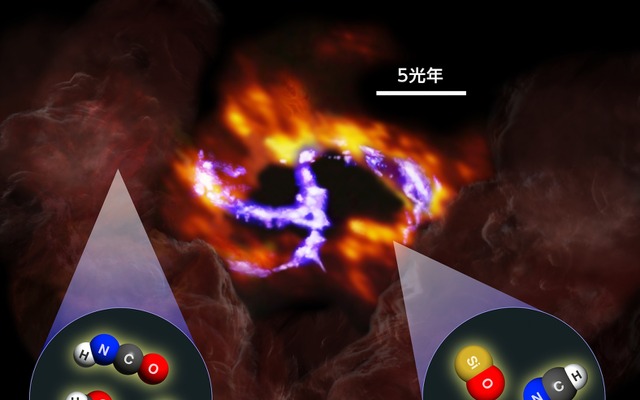 中心核巨大ブラックホールは、電離ガスから成る渦巻き構造「ミニスパイラル」のほぼ中心にあり、周りに「核周円盤」、外側に2つの「巨大分子雲」がある。