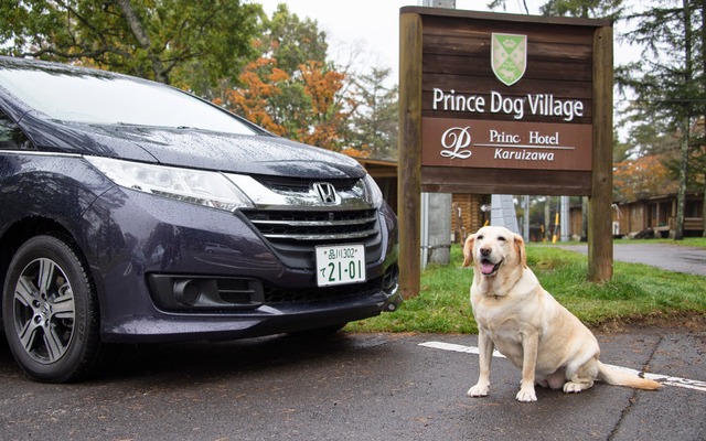 ホンダ オデッセイで愛犬マリアと晩秋の軽井沢へ