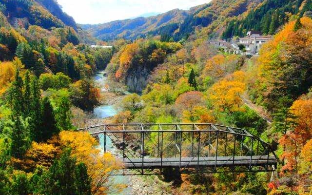 今週の土曜日に紅葉狩りはいかが？　ウェザーニューズ、第三回紅葉見頃予想